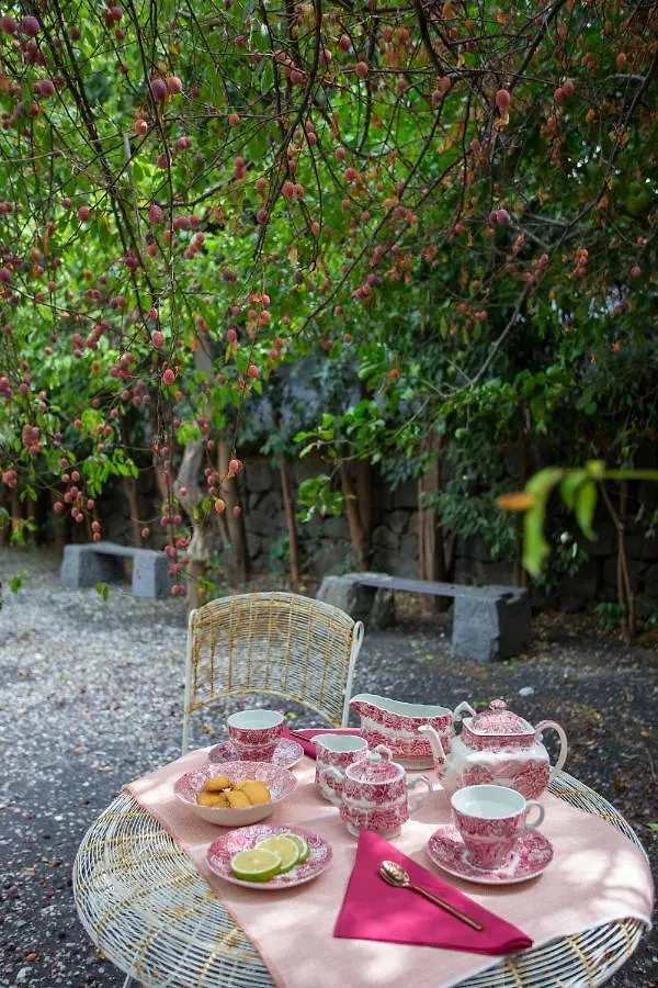 Citrus, Between Etna And The Sea Acireale Italy