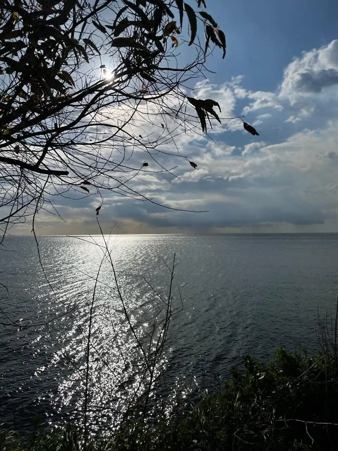 Citrus, Between Etna And The Sea Acireale 0*,