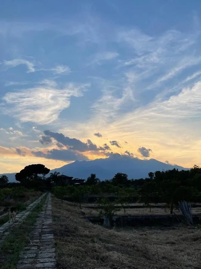 Citrus, Between Etna And The Sea Acireale