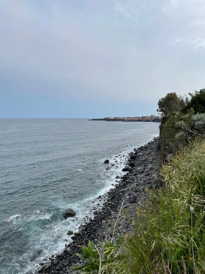 Citrus, Between Etna And The Sea Acireale Italy