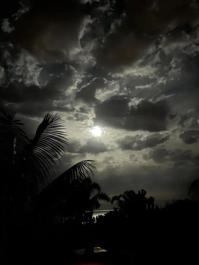 Villa Citrus, Between Etna And The Sea Acireale Italy